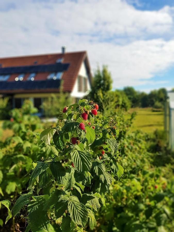 Apartament Siedlisko Gregorowo Ustka Zewnętrze zdjęcie